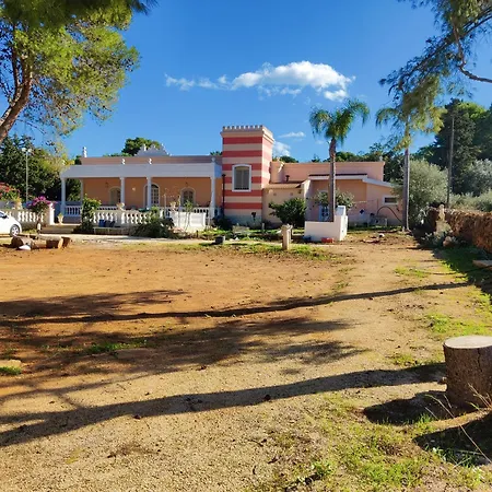 Margherita Art And Music 마르살라